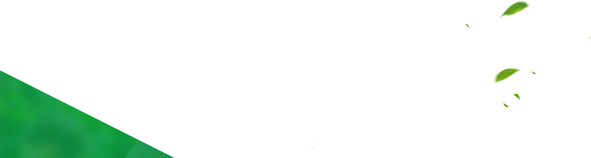 全力